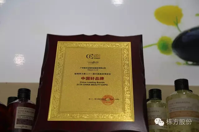科技引領(lǐng)美麗▏棟方股份榮獲“中國(guó)好品牌獎(jiǎng)”！